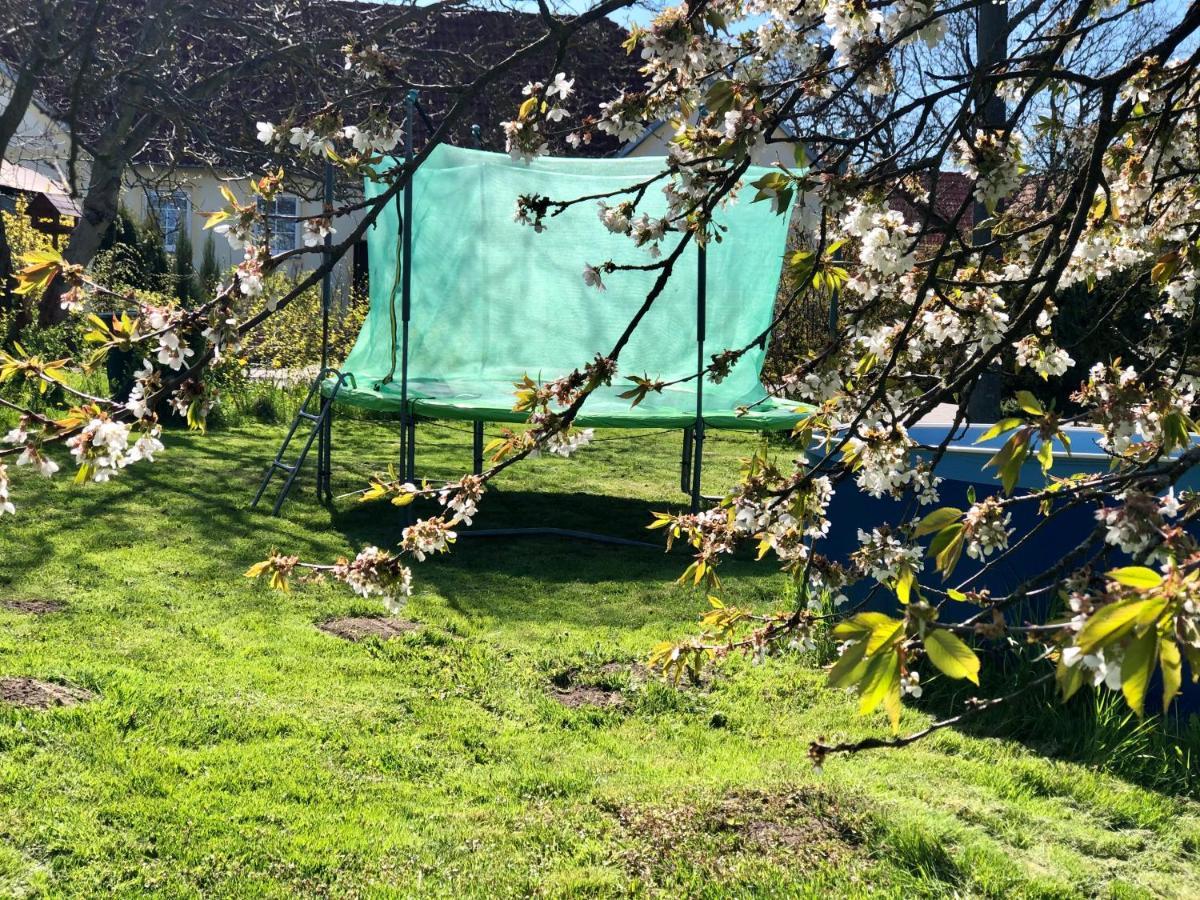 Apartmany Jílovice Eksteriør billede